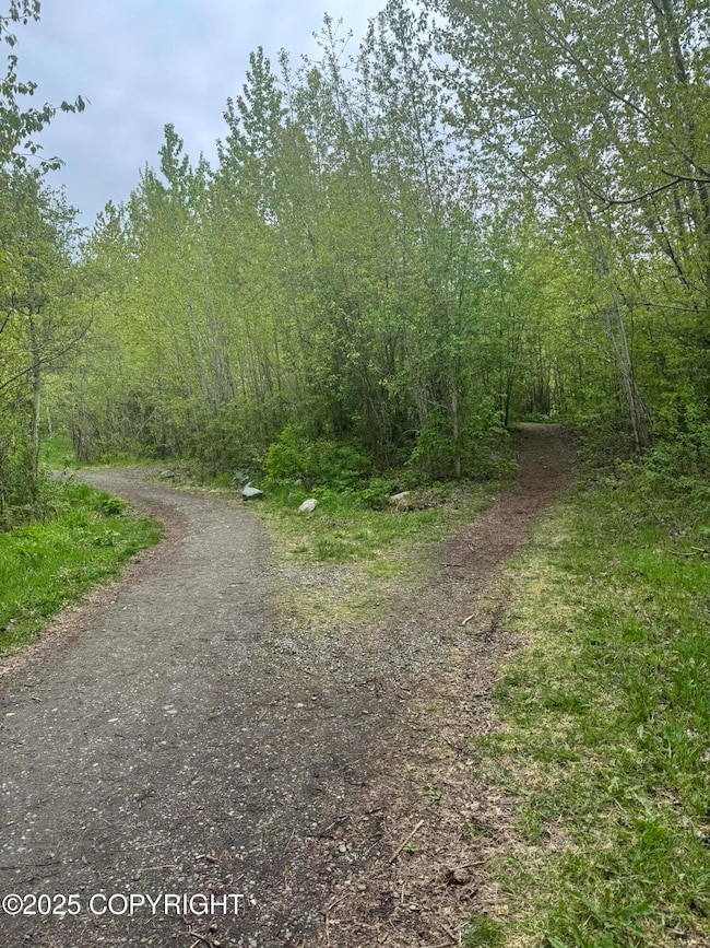 Cheney Lake Trail behind BK YD