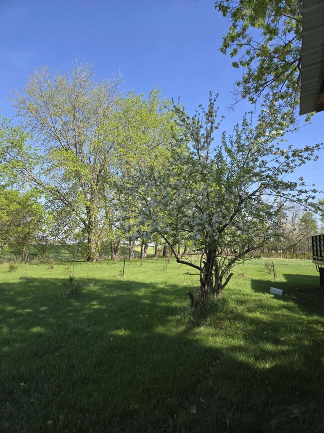 12916 250th Ave NE, Goodridge, MN 56725 - photo 6