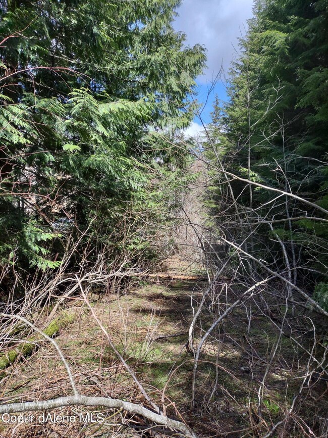 IMG_20220423_115239110_HDR (1)