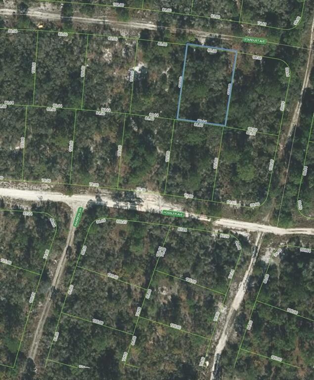 339 Stardust Ave, Lake Placid, FL 33852 - photo 4