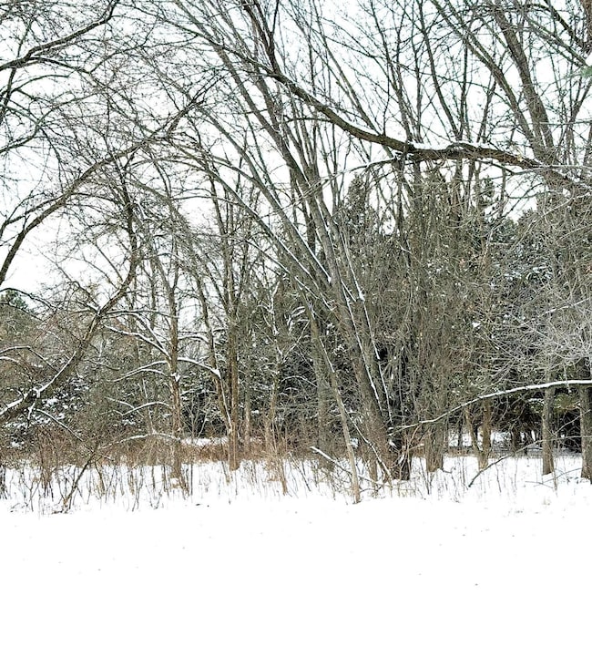 10025 Russell Ave N unit 2, Brooklyn Park, MN 55444 - photo 2