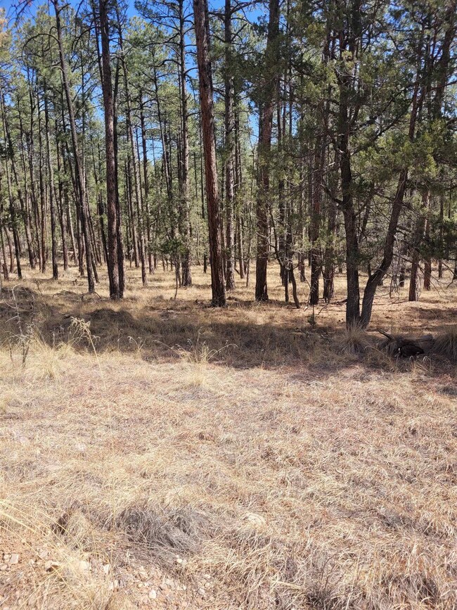 25,26,27 Damascus Rd, Timberon, NM 88350 - photo 6