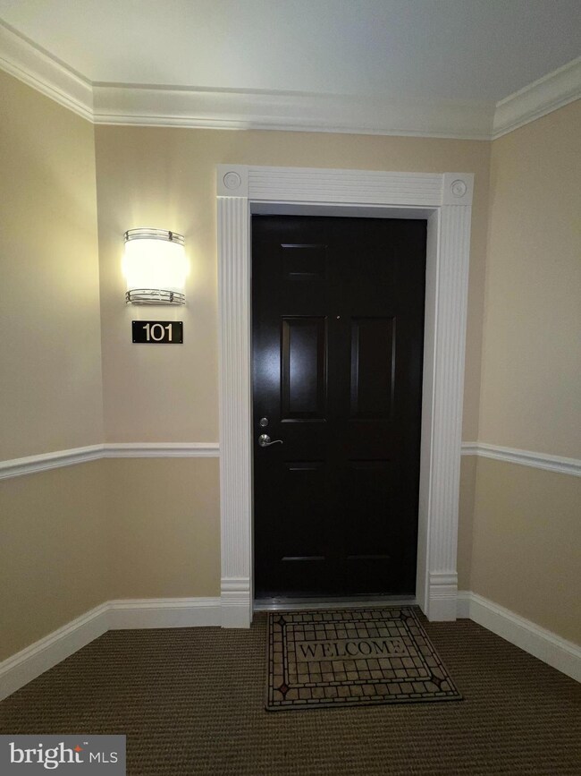 900 Red Brook Blvd unit 101, Owings Mills, MD 21117 - photo 6