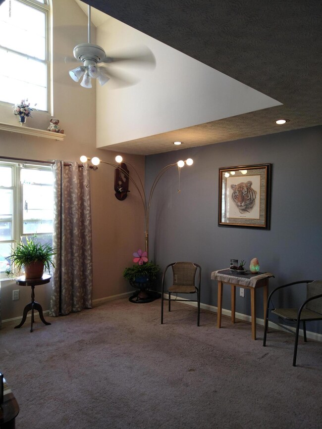 7909 Grand Cascade Dr unit 7301, Louisville, KY 40228 - photo 5