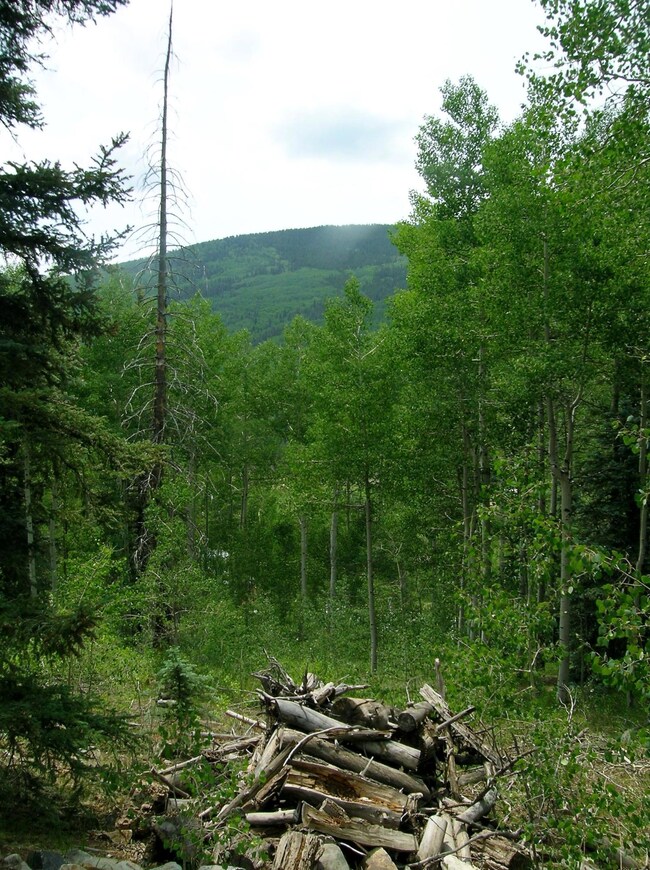 213 S Silver St unit 7,8, Rico, CO 81332 - photo 6