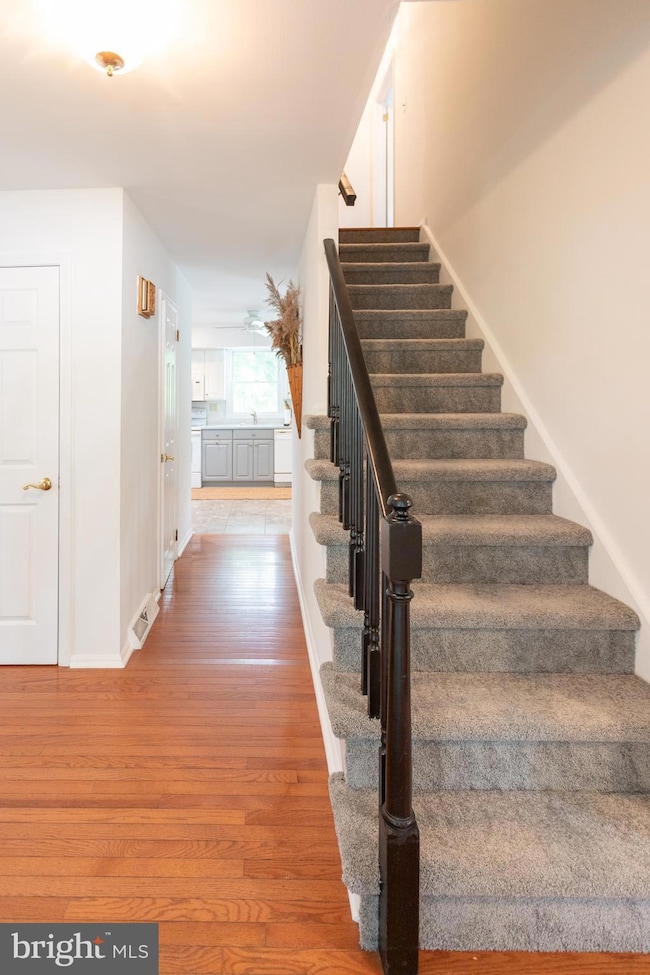 5 Lisa Cir, Drexel Hill, PA 19026 - photo 6