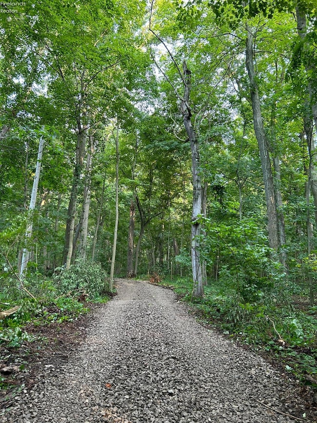 1 Jones, Put-In-bay, OH 43456 - photo 4