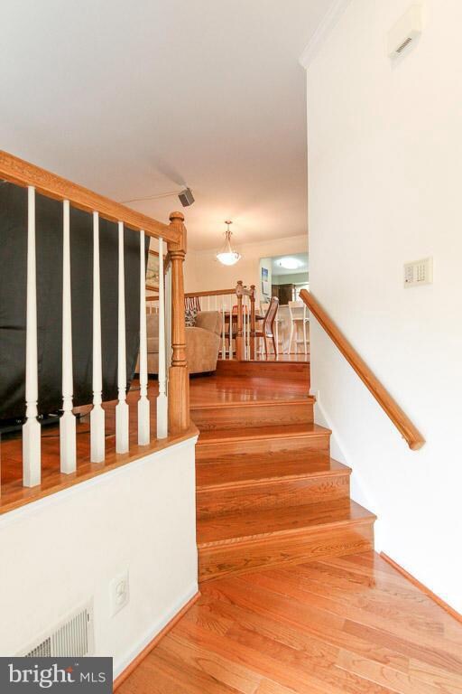 14010 Winding Ridge Ln, Centreville, VA 20121 - photo 3