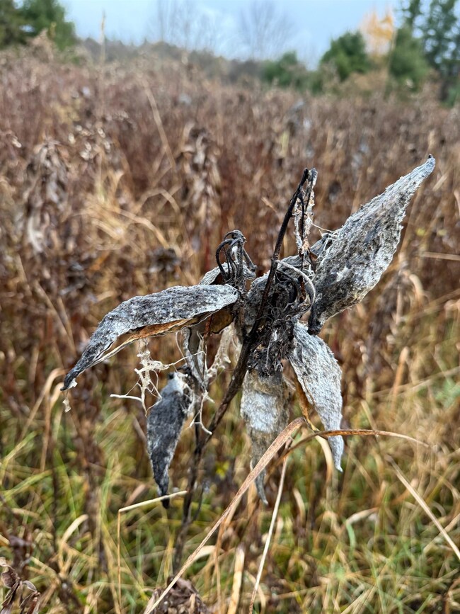 416 N Cambridge Rd, Cambridge, VT 05444 - photo 5