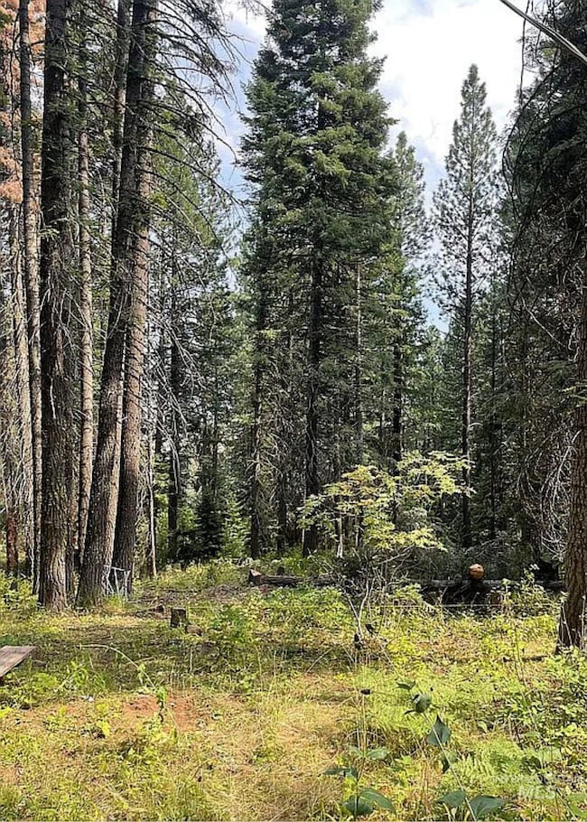 66 Hillside Trail, Donnelly, ID 83615 - photo 2