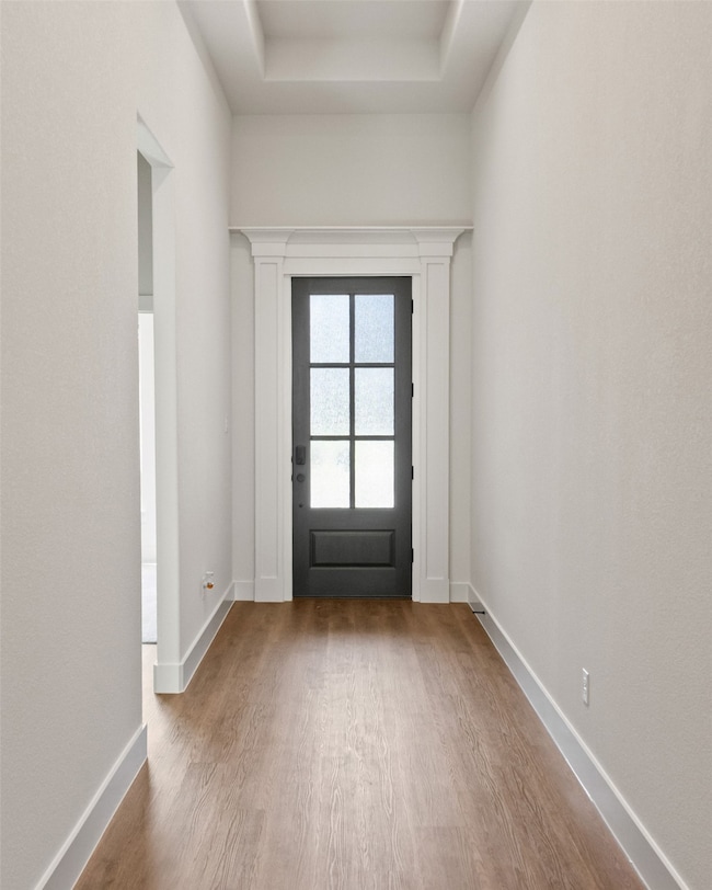 Entryway with wood finished floors and a raised ceiling
