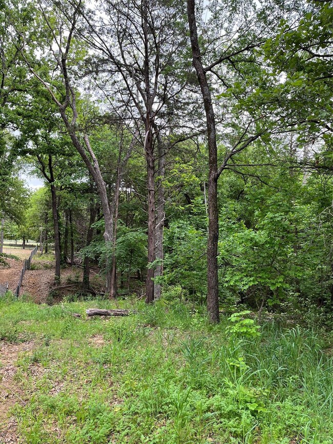 1968 Gordonville Rd, Gordonville, TX 76245 - photo 5