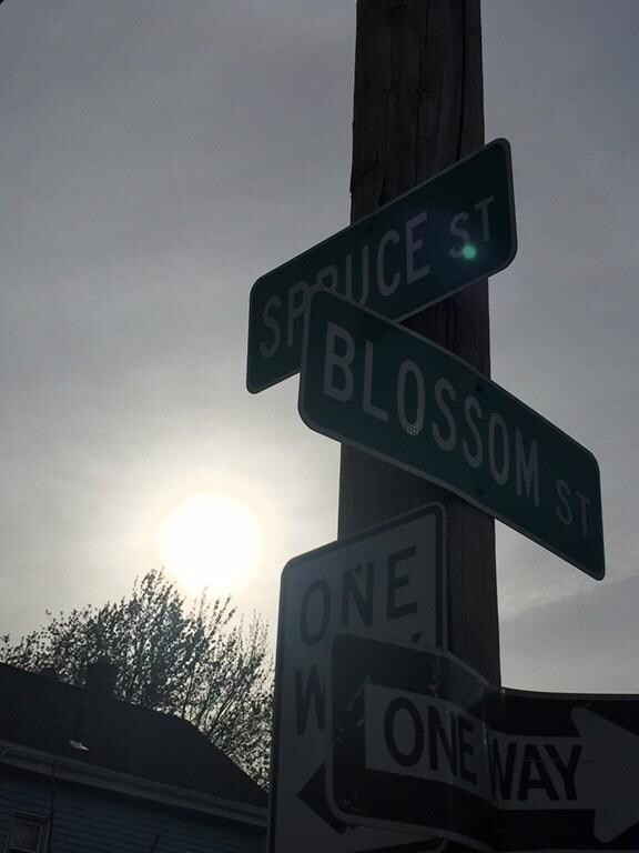 261 Spruce St, Chelsea, MA 02150 - photo 5