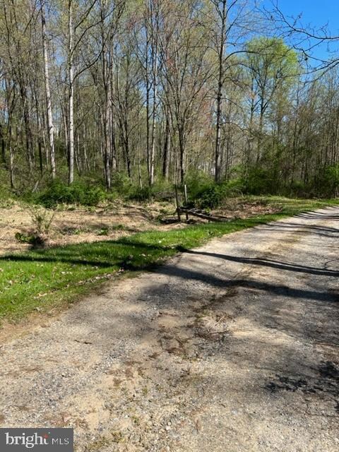 471 Buckhorn Rd, Sykesville, MD 21784 - photo 6