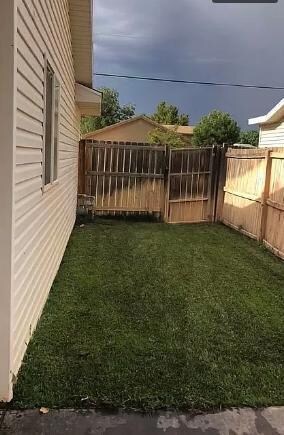 Backyard 3