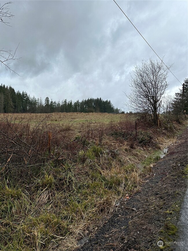 448 Meier Rd, Winlock, WA 98596 - photo 6