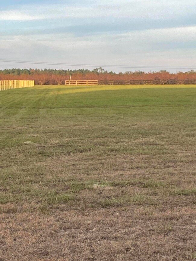 Lot 3 facing north
