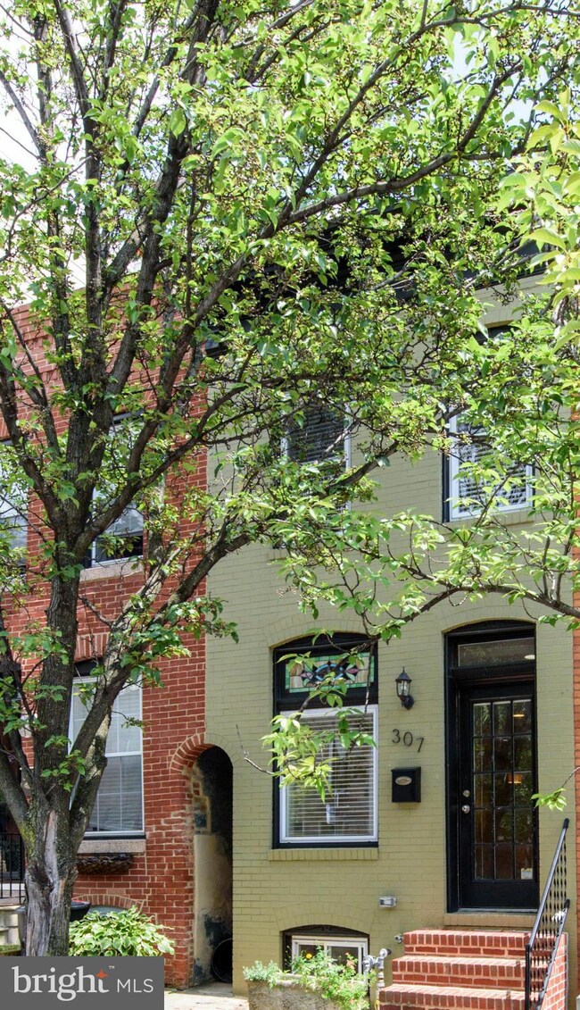 307 S Collington Ave, Baltimore, MD 21231 - photo 2