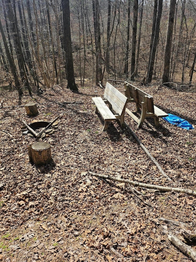 LOT 61 Shoreside at Sipsey, Houston, AL 35572 - photo 6