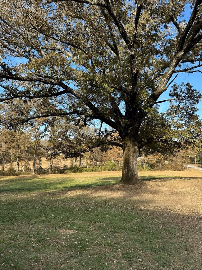 248 Cr 376, Water Valley, MS 38965 - photo 5