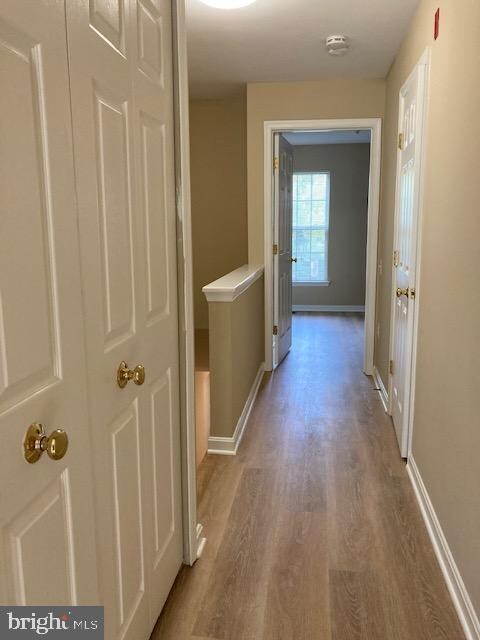 11218 Edson Park Place, Rockville, MD 20852 - photo 5