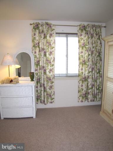 7109 Winter Rose Path, Columbia, MD 21045 - photo 6