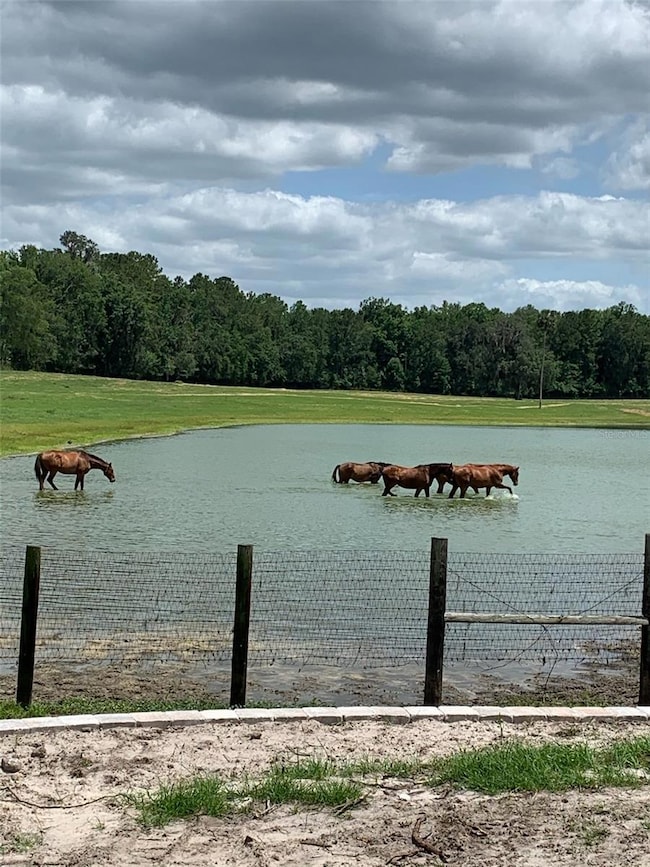 2002 SW 44th Ln, Ocala, FL 34471 - photo 4