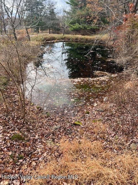 252 Upper Samsonville Rd, Krumville, NY 12461 - photo 6