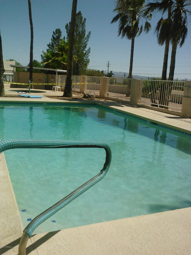 pool area