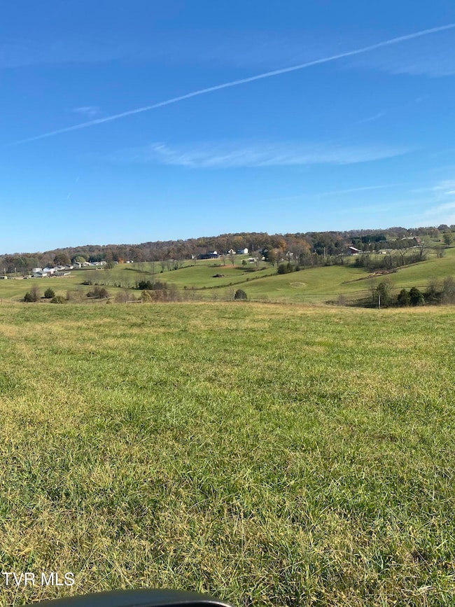 689 Painter Rd, Fall Branch, TN 37656 - photo 2