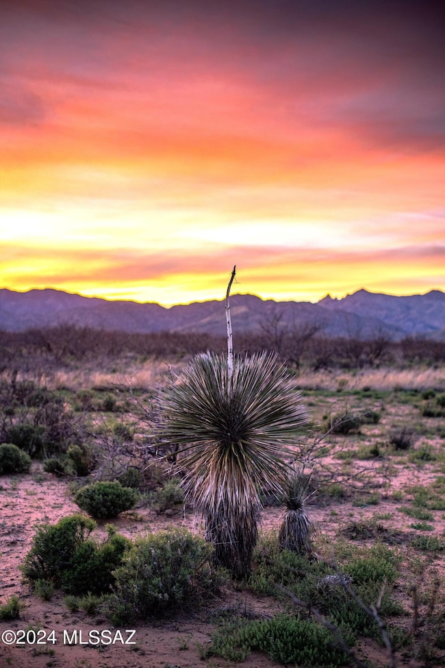Beautiful desert