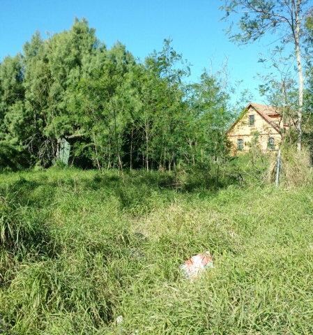 7011 D St, Mercedes, TX 78570 - photo 2