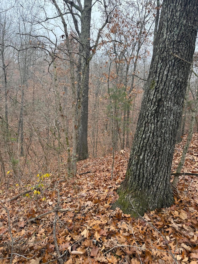 000 Pecan Dr, Grovespring, MO 65662 - photo 5