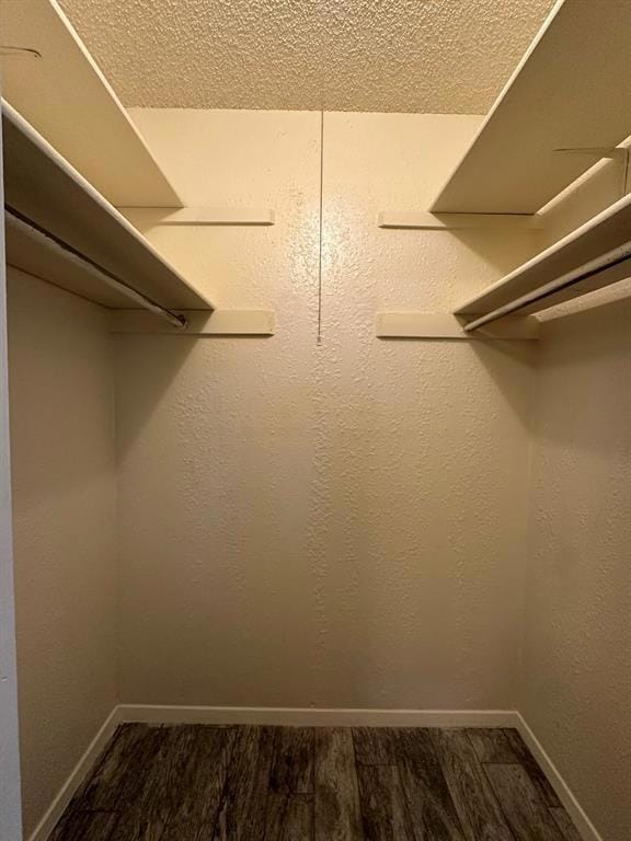 Spacious closet with dark wood finished floors