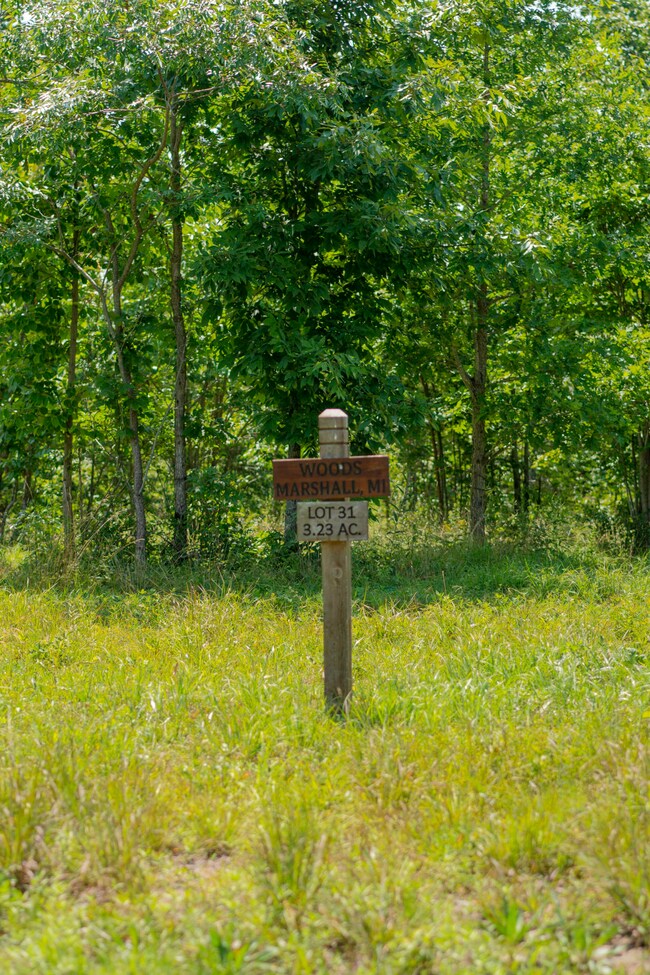 0 Bear Crawl Rd unit 1302262, Jasper, TN 37347 - photo 5