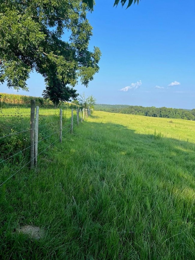 0 53 Hwy unit 24327, Clio, AL 36017 - photo 5