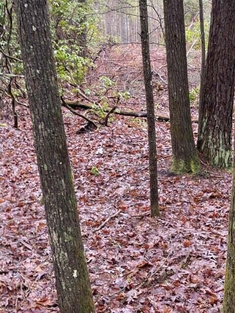 Lot 14 Thomas Springs Rd, Crossville, TN 38572 - photo 2