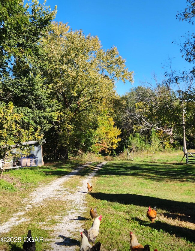 22121 E Highway D, Granby, MO 64844 - photo 7