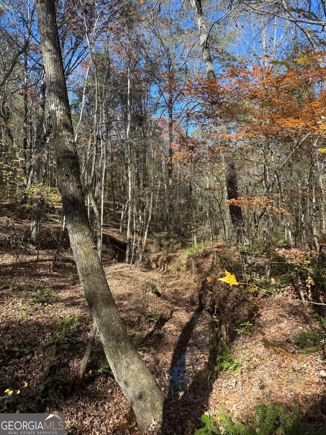 4517 Georgia 18, West Point, GA 31833 - photo 3