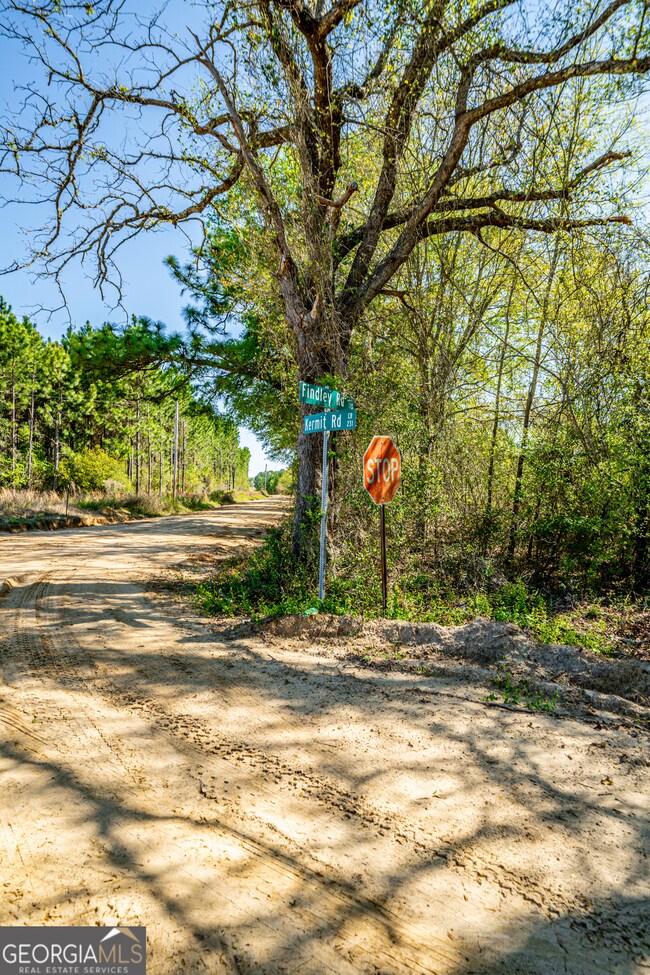 0 Kermit Rd, Cobbtown, GA 30420 - photo 6