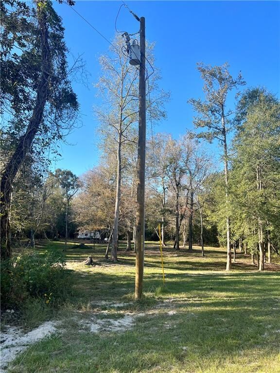New electrical pole