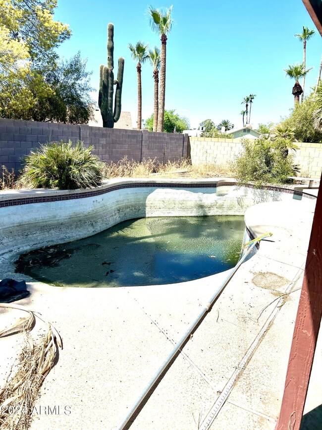 Large Pool