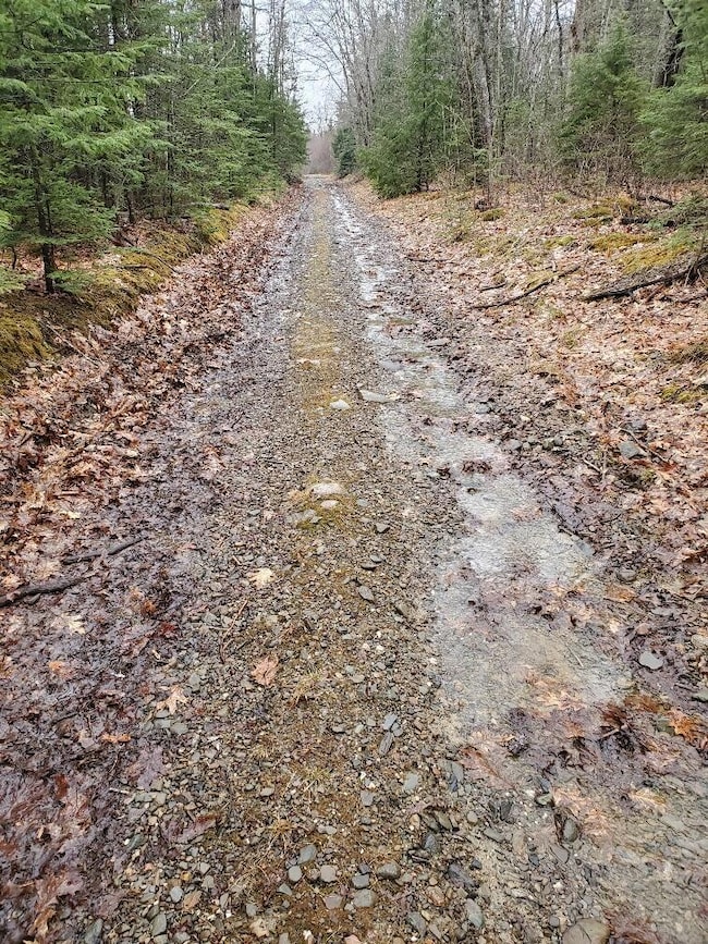 Ryan Rd was a bit wet today