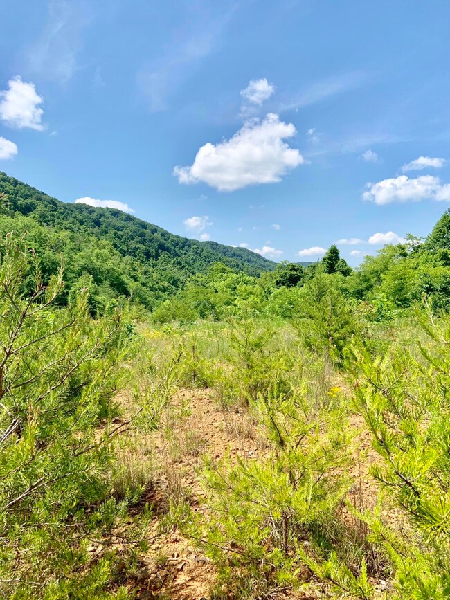 28DCF336-7508-40E5-964B-550EB869AD73