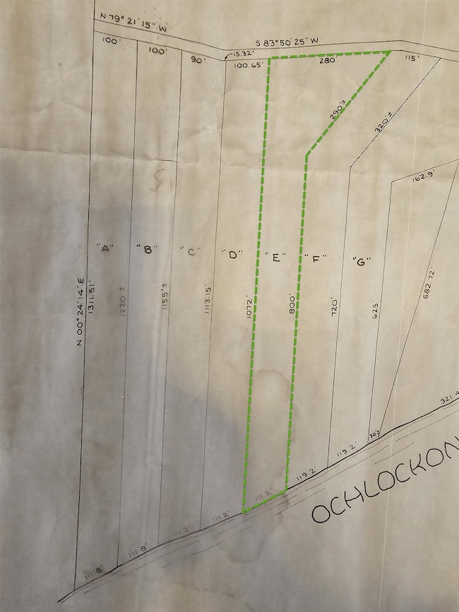 0 Pamela Place unit 386589, Sopchoppy, FL 32358 - photo 2