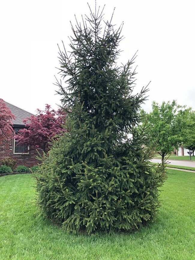 1516 S Blockade Rd, Republic, MO 65738 - photo 5