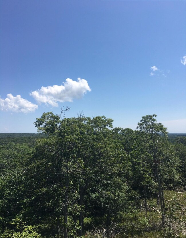 38 Fire Tower Rd, West Tisbury, MA 02568 - photo 3