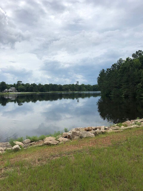 210 Fish Creek Thoroughfare, Montgomery, TX 77316 - photo 2