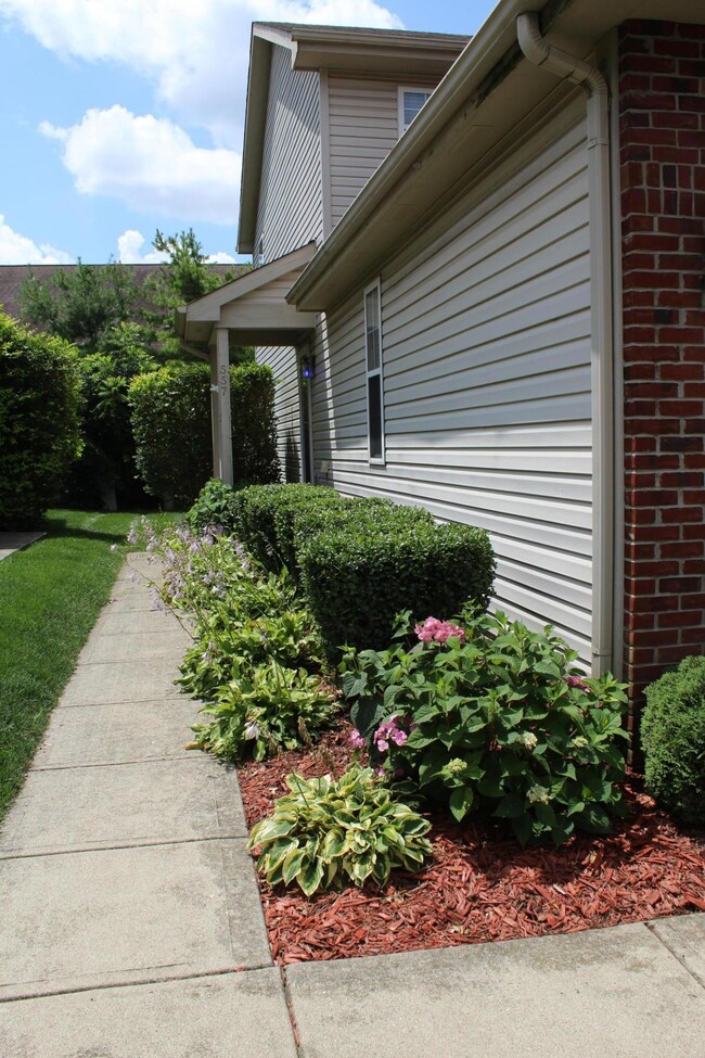 Chadwood Side Yard