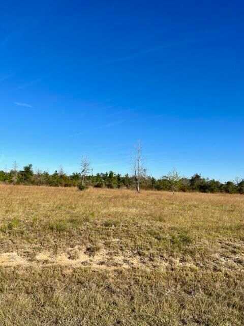 0 Rea Rd Tract 7 unit 26-3998, Deridder, LA 70634 - photo 4